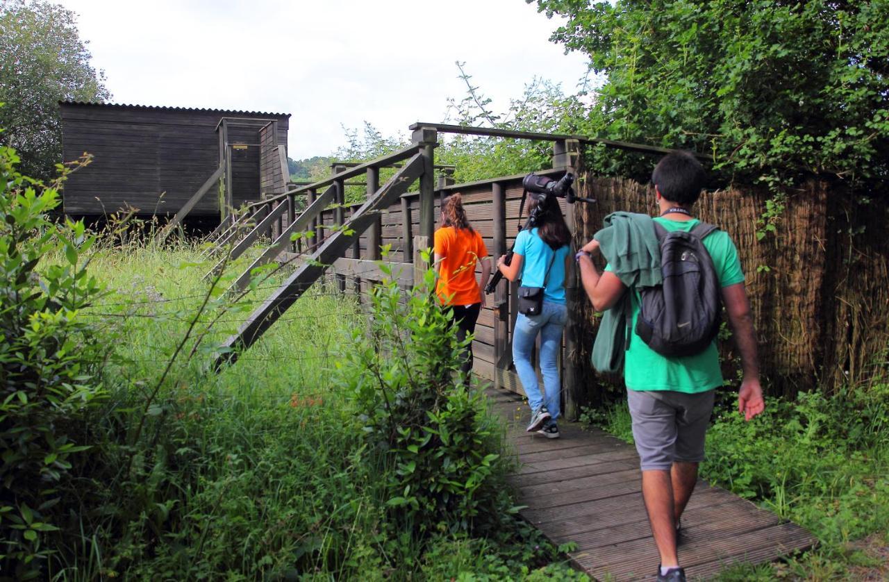 Urdaibai Bird Center