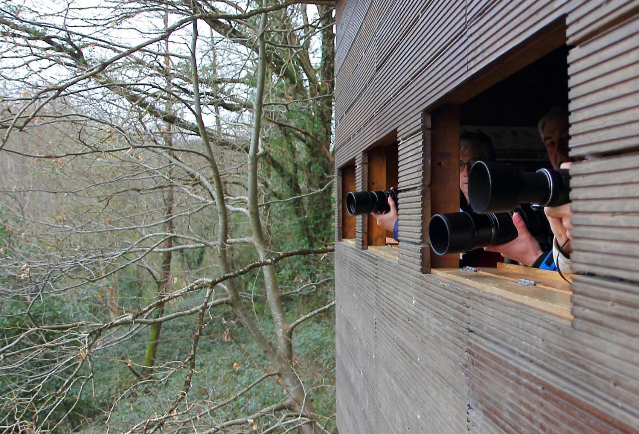 Urdaibai Bird Center Gautegiz Arteaga