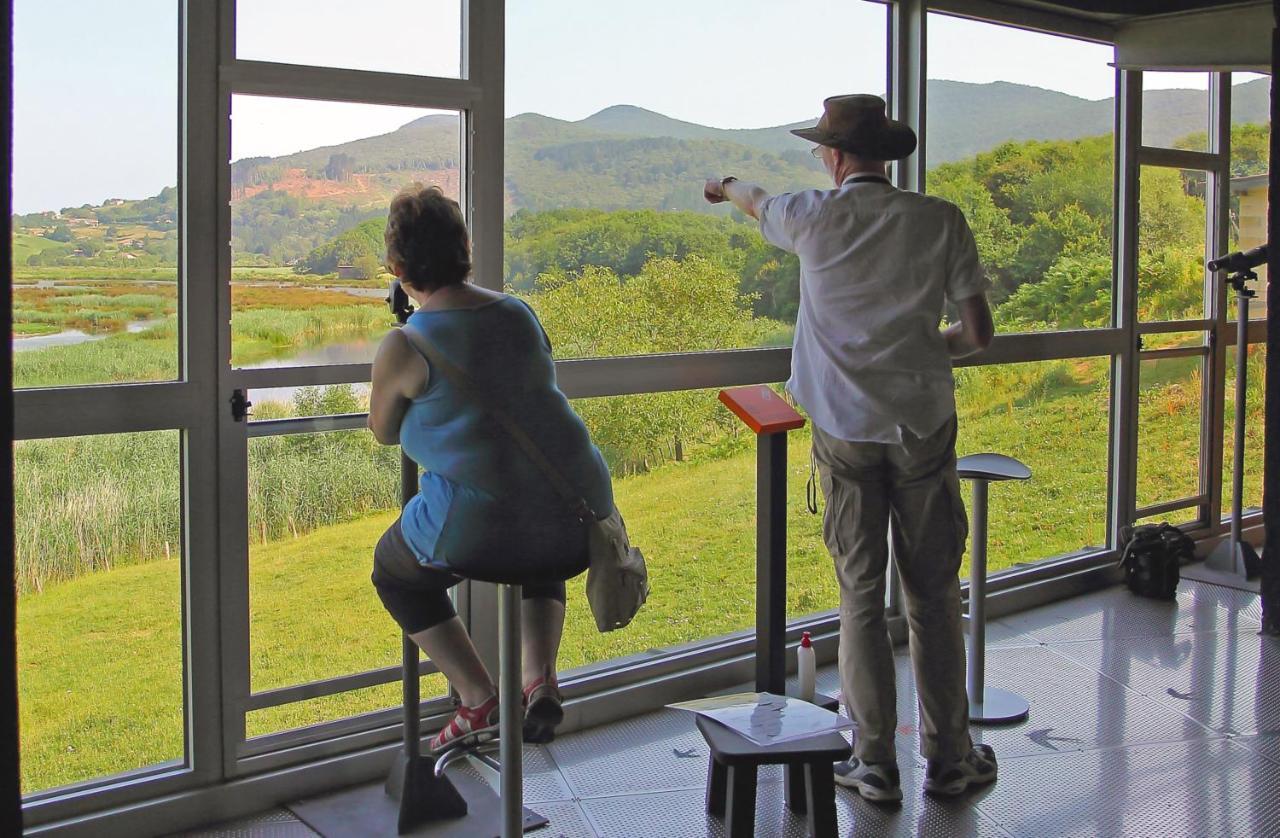 Urdaibai Bird Center Gautegiz Arteaga