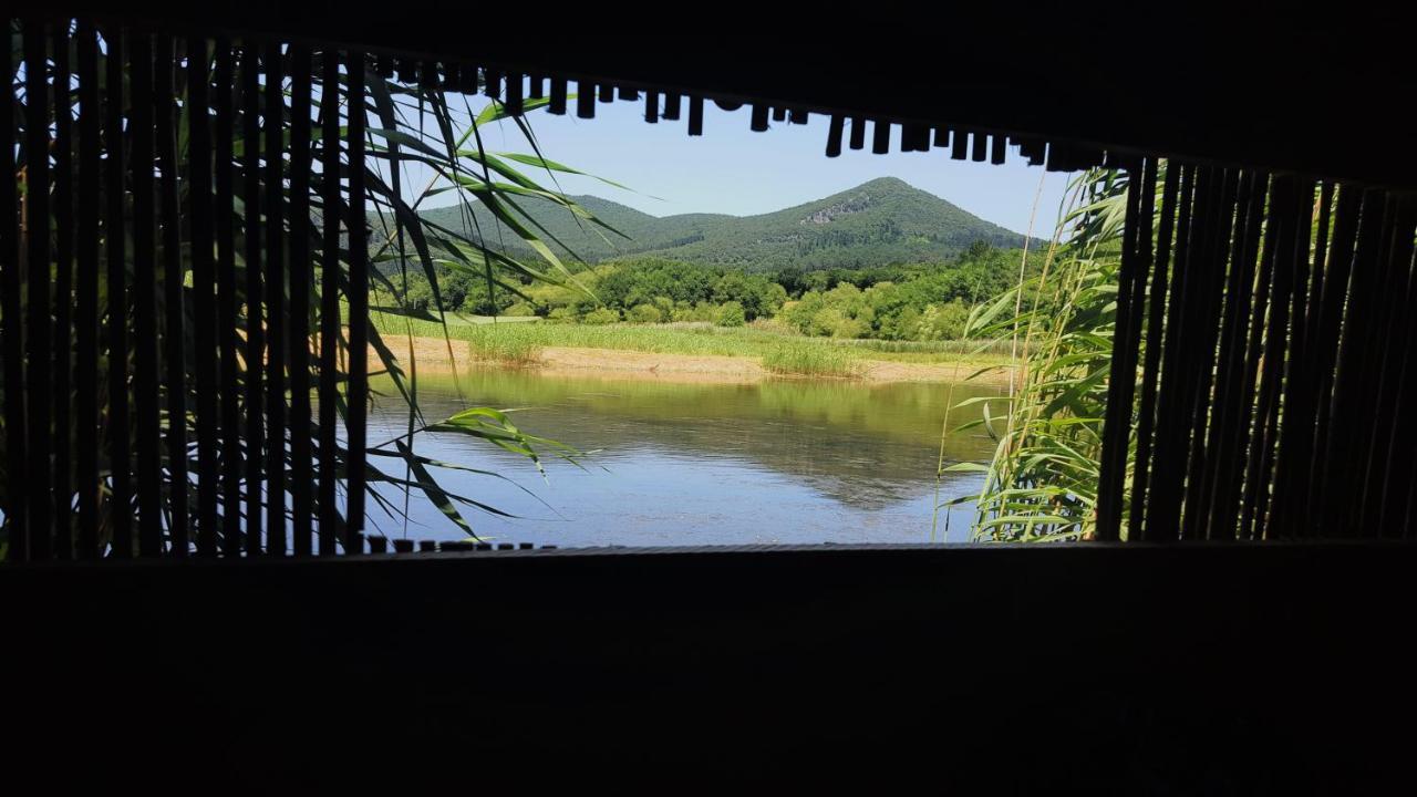 Urdaibai Bird Center