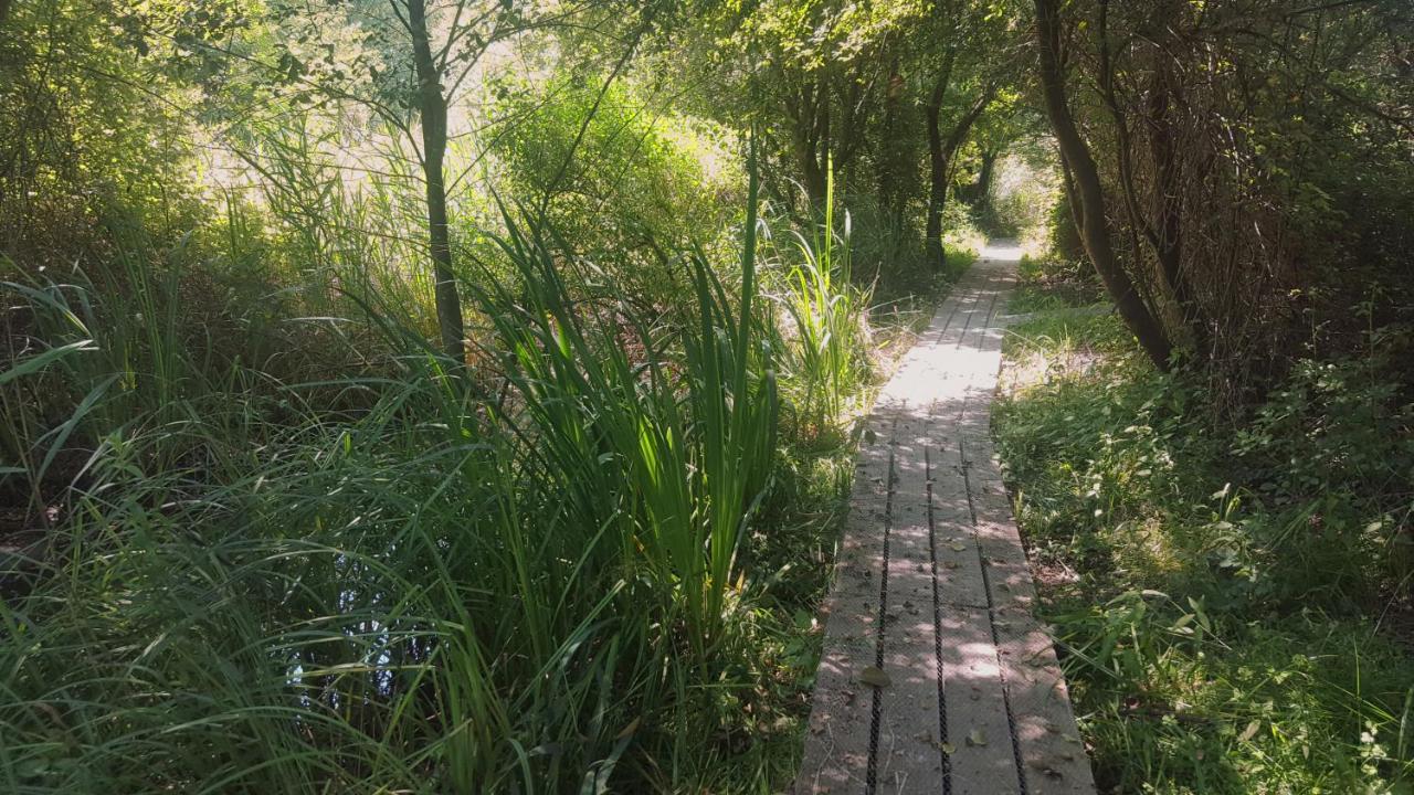 Urdaibai Bird Center * Gautegiz Arteaga