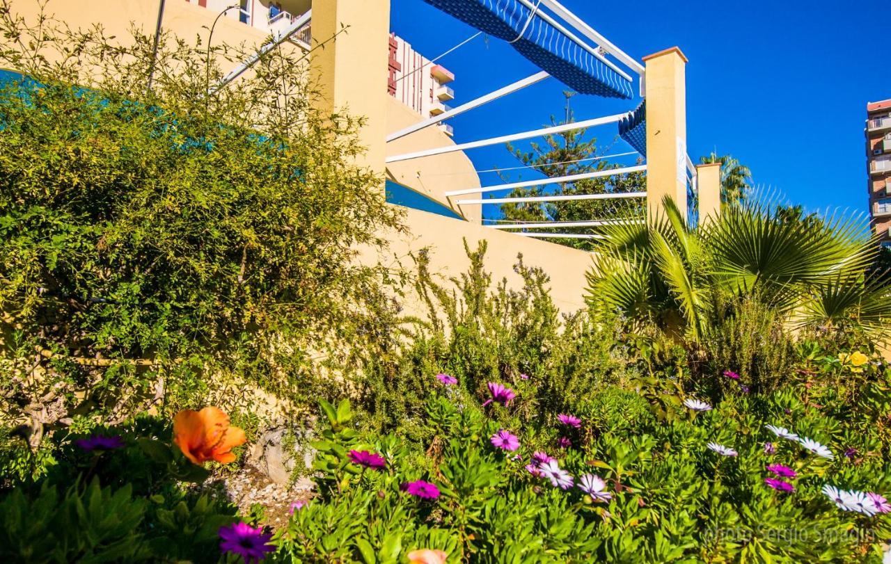 Apartamento 427 Estudio En Júpiter - Vista A La Piscina, El Mar Y Montaña - Excelente Conexión Wifi *