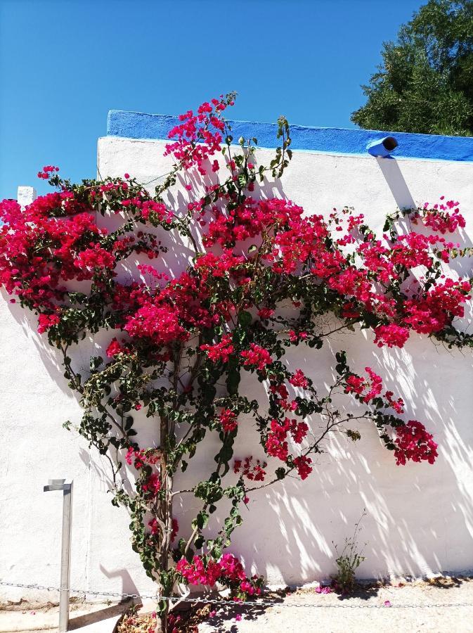 Bed & Breakfast Casa Kilmar