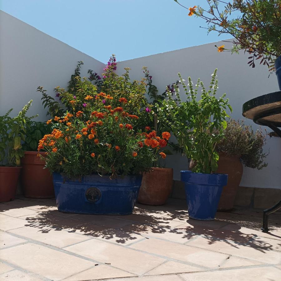 Casa Kilmar *