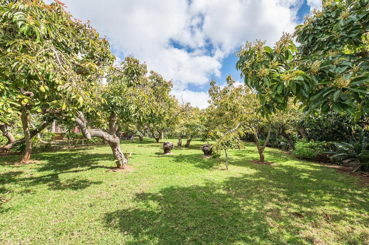 Apartamento Homeforguest Rural House With Garden El Laurel *