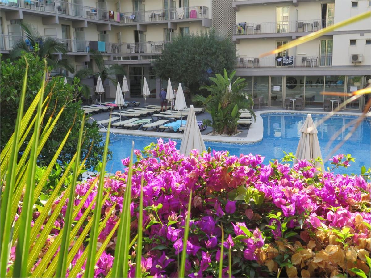 Hotel álamos Benidorm
