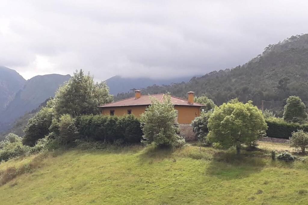 Preciosa Casona Con Horreo *