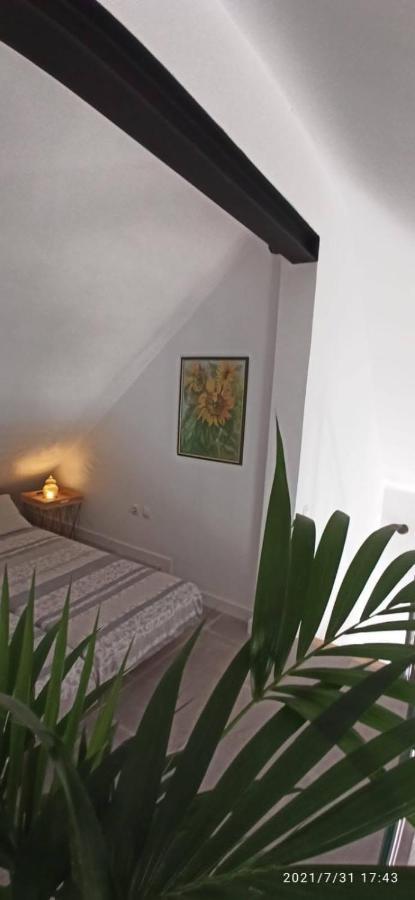 Apartment La Casita De Juani,leoeser Agaete (Gran Canaria)