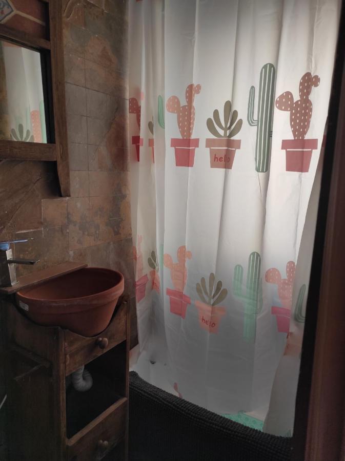 Cactus Habit-loft A Pie De Calle Antiguo Garaje