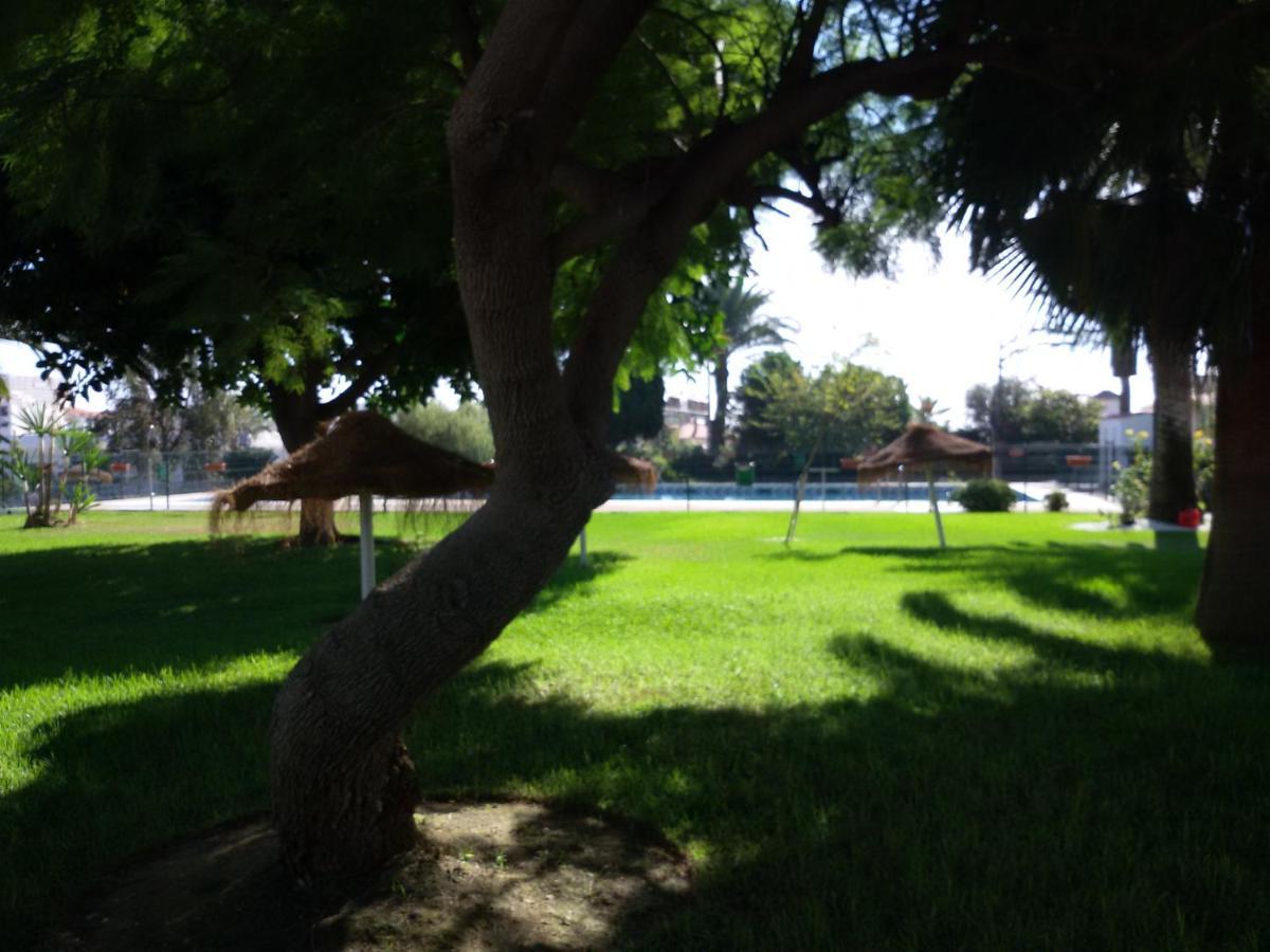 Apartamento Mar Del Sur *