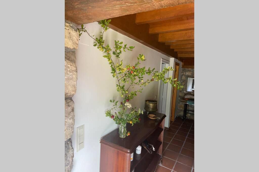 Preciosa Casona Con Horreo Holiday home *