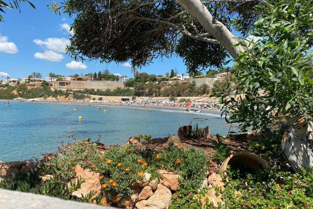 Apartment Luxury Penthouse Oasis Viii Orihuela Costa Punta Prima *