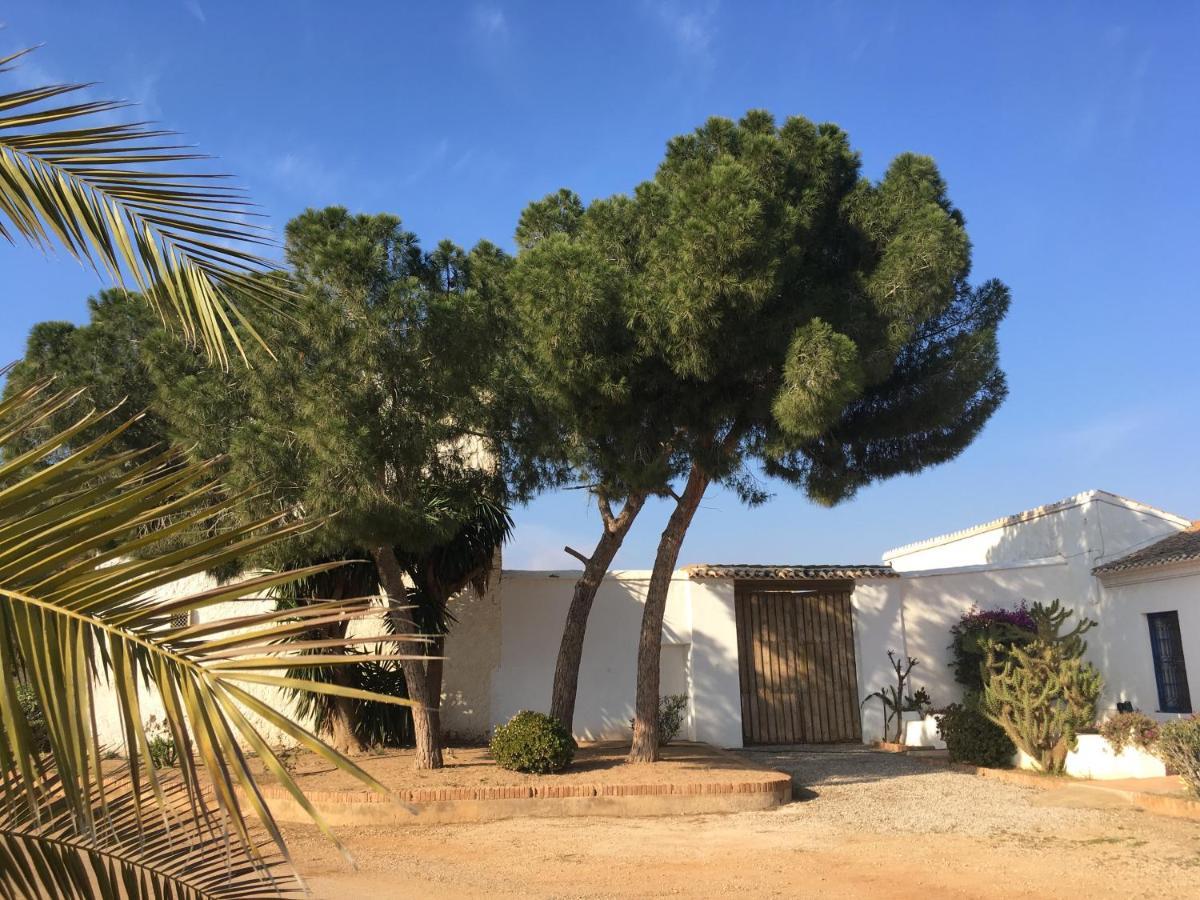 Bed & Breakfast Torre De La Campana