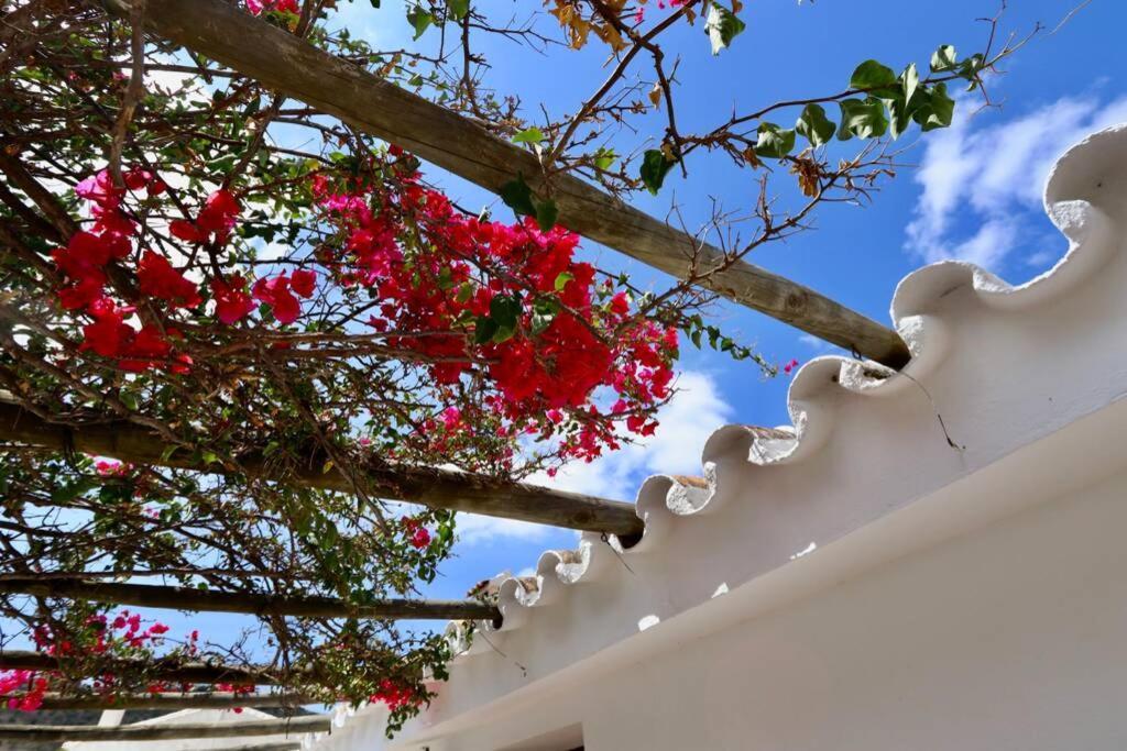 Casa Lasoco Comares