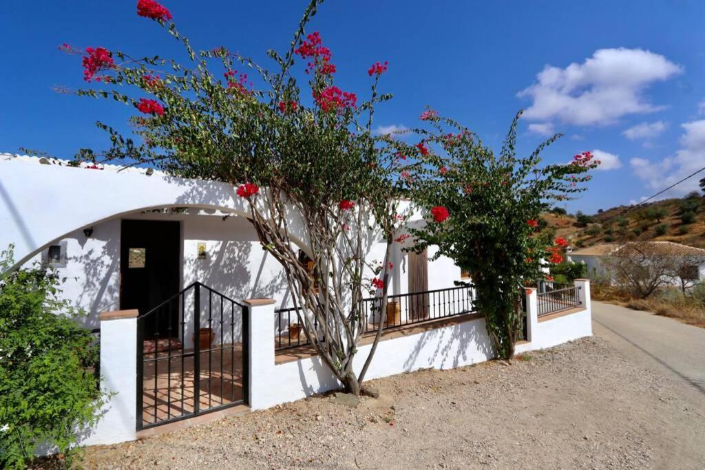 Casa Lasoco Casa rural Comares