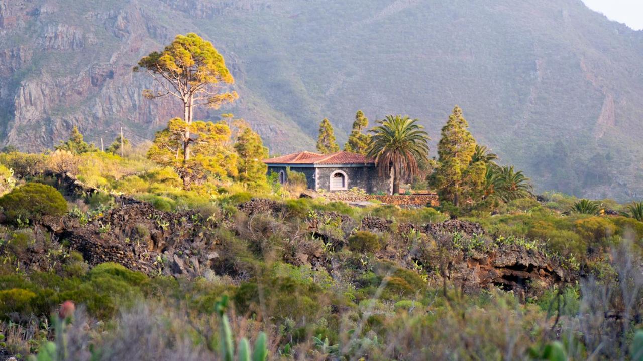 Luxury In Nature With Swimming Pool Luxus-finca In Der Mit Pool, De Lujo En La Naturaleza Con Piscina El Retamar