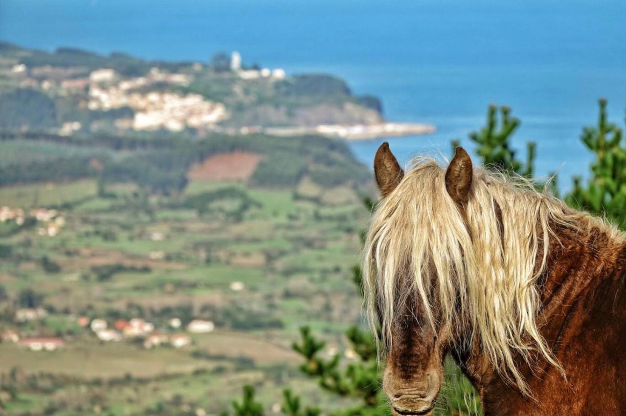 Laurel De Gulpiyuri Сasa de vacaciones