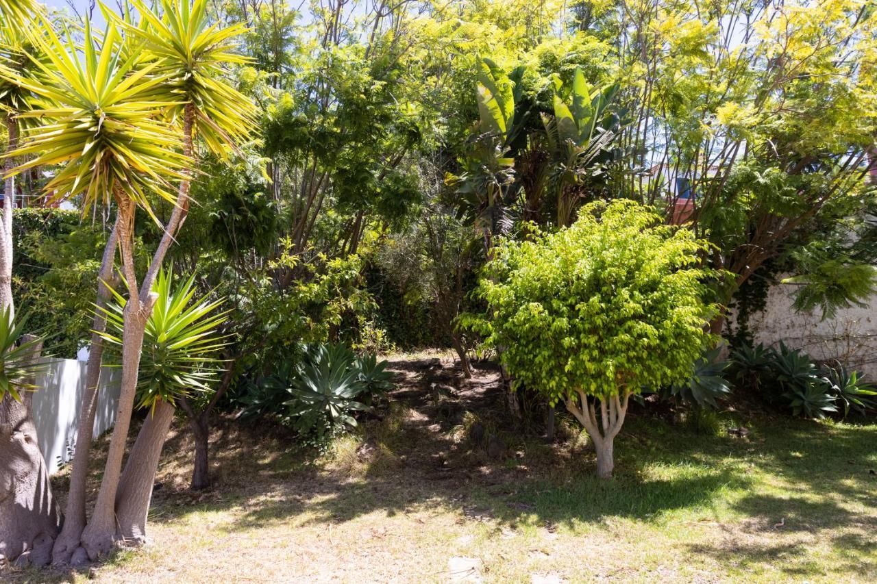 Villa Home2book Stunning Raquel, Pool & View El Sauzal