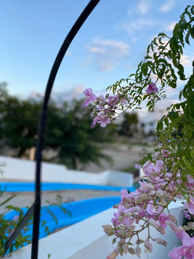 Siesta Mar