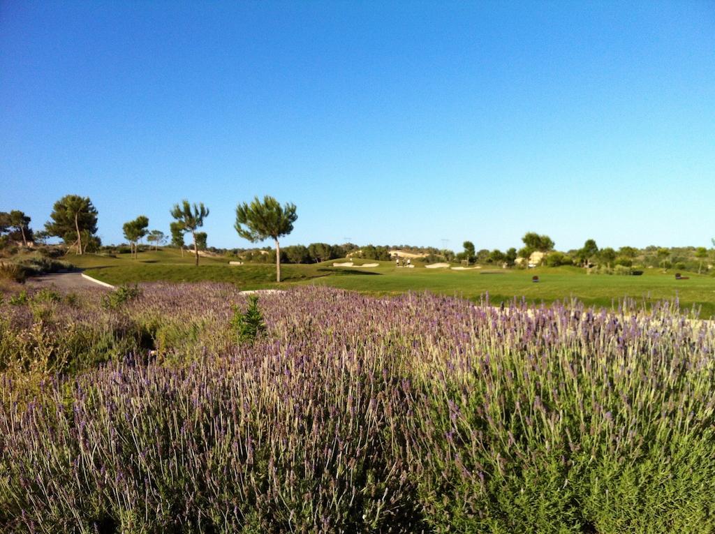 In Spain At Colinas Golf & Country Club Dehesa de Campoamor (Orihuela Costa)