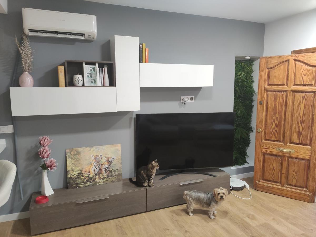 Habitación A 9 Min De La Playa