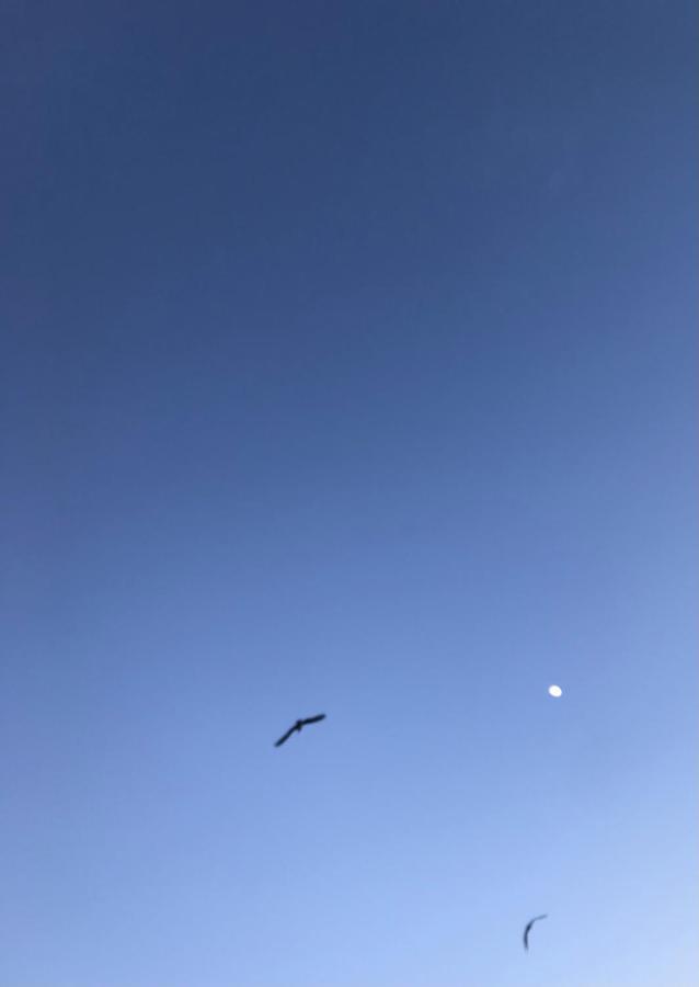 En Algun Lugar Del Mundo * La Cala De Mijas
