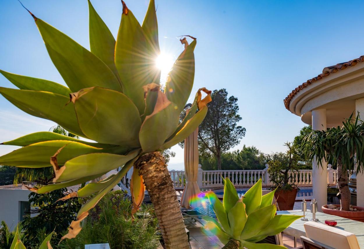 Guesthouse Villa Altea *