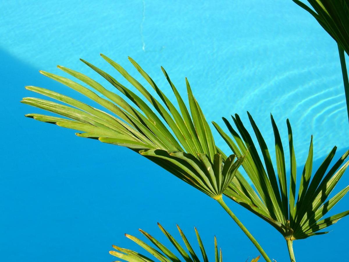 Guesthouse Villa Altea * Altea