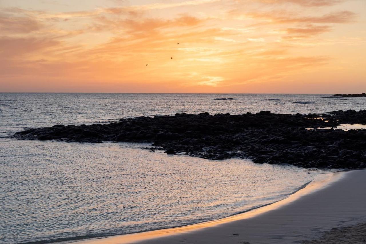 Sunset Oasis