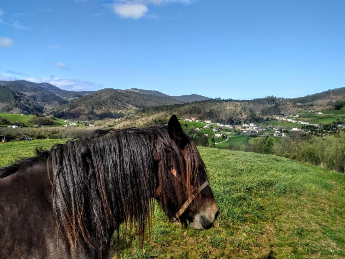 Casa Alvarina - Luarca Сasa de vacaciones Cortina