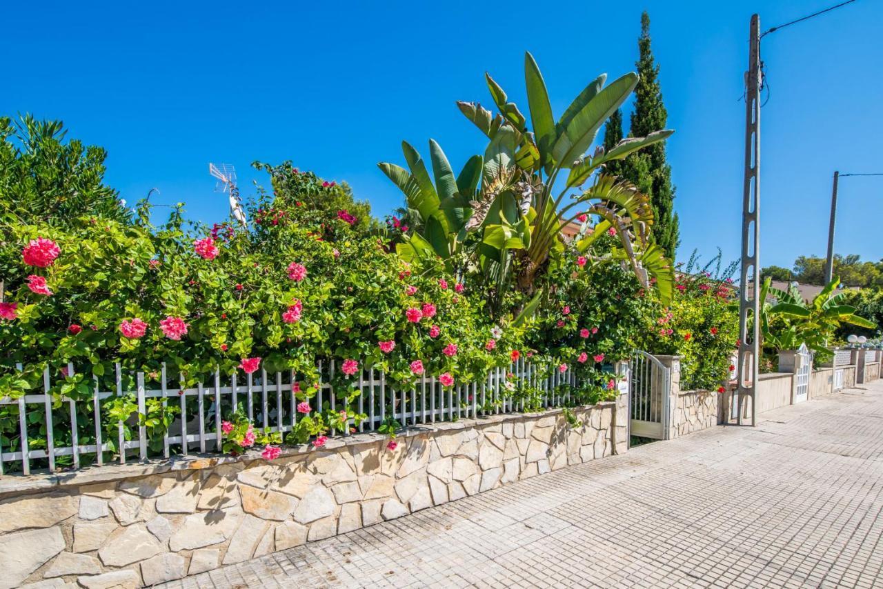 Holiday home Ideal Mallorca - Adelfa *