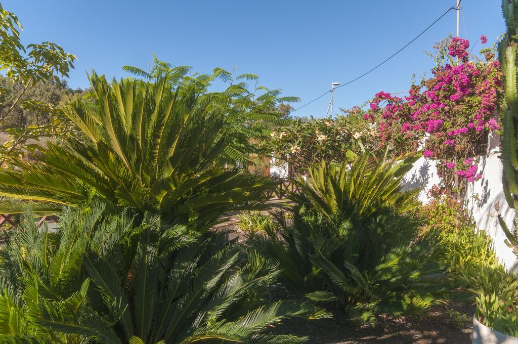 Los Bermejales Holiday home *