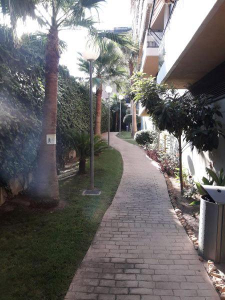 Mi Casa Es Tu Casa Gandía