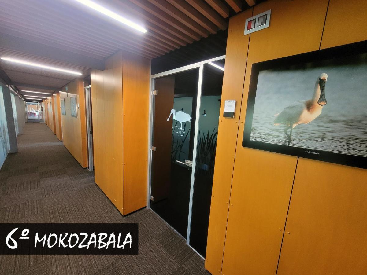 Urdaibai Bird Center