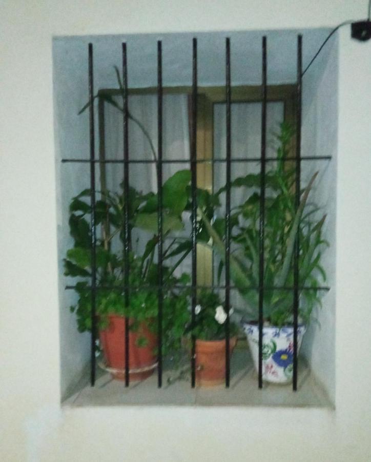 Apartamento Piso Junto Al Mar Ocho Personas Máximo *