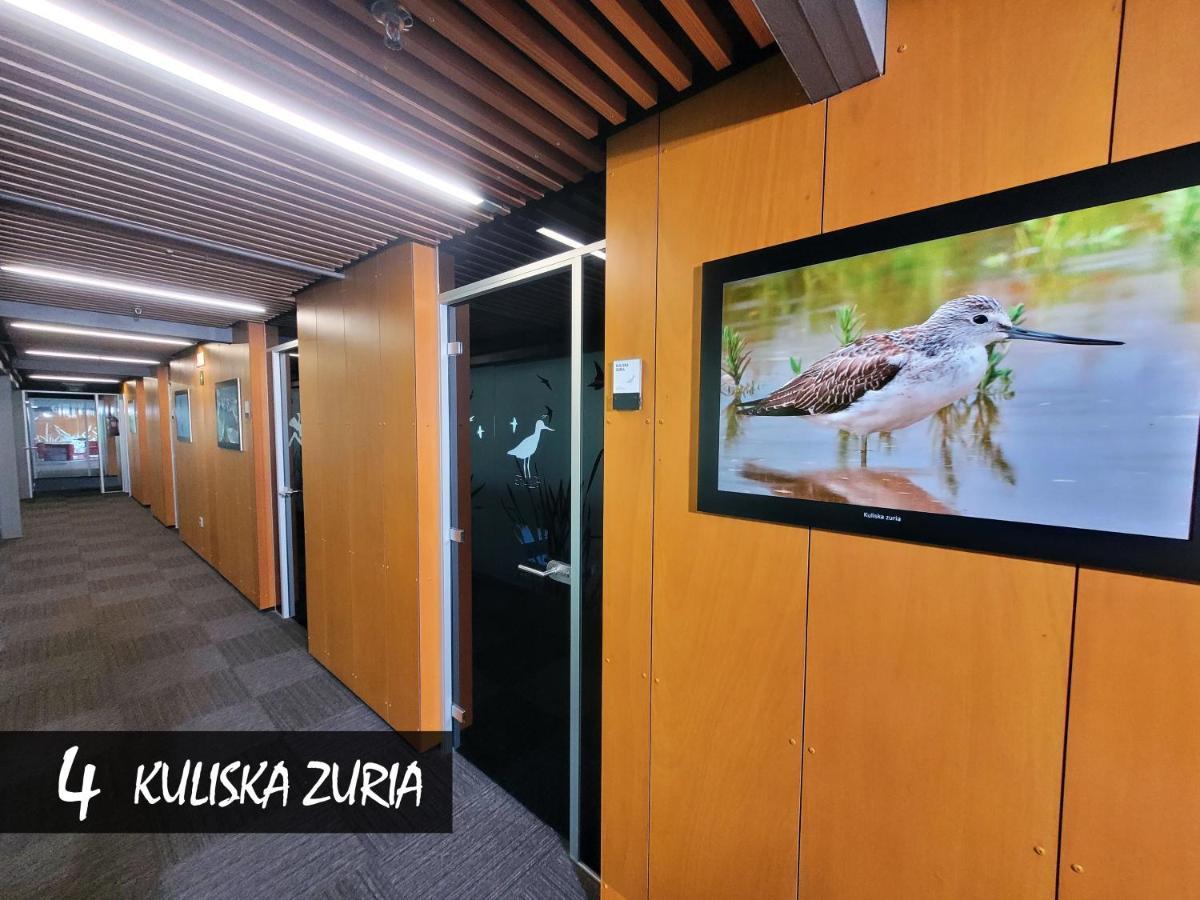 Urdaibai Bird Center Hotel Gautegiz Arteaga