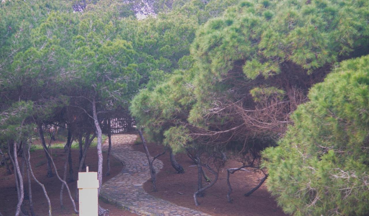 Hotel Parquemar