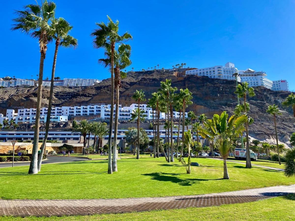 Canarias Sunshine Apartment Amadores