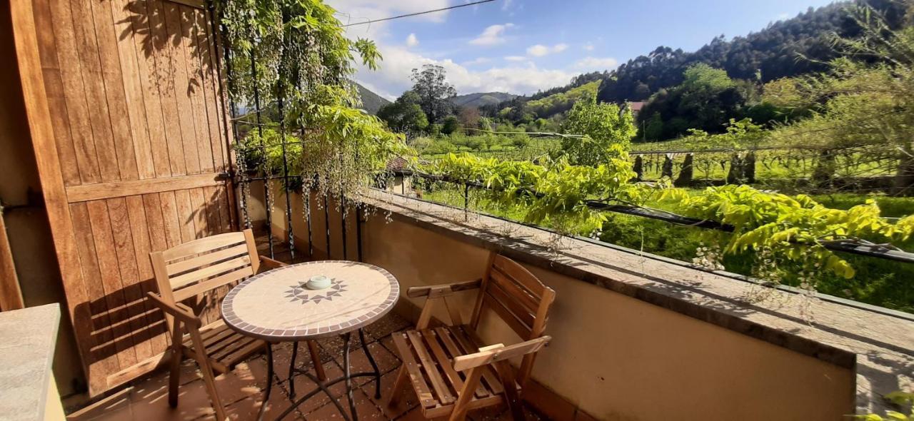 Casa rural Ecohotel Rural Angiz