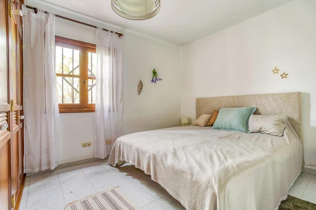 Hogar Palmera With Pool & Apartment