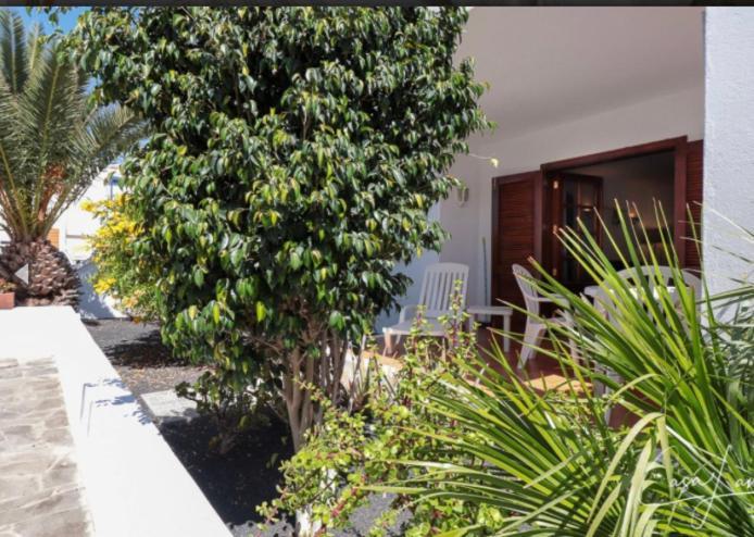 Hogar Palmera With Pool & Apartment *