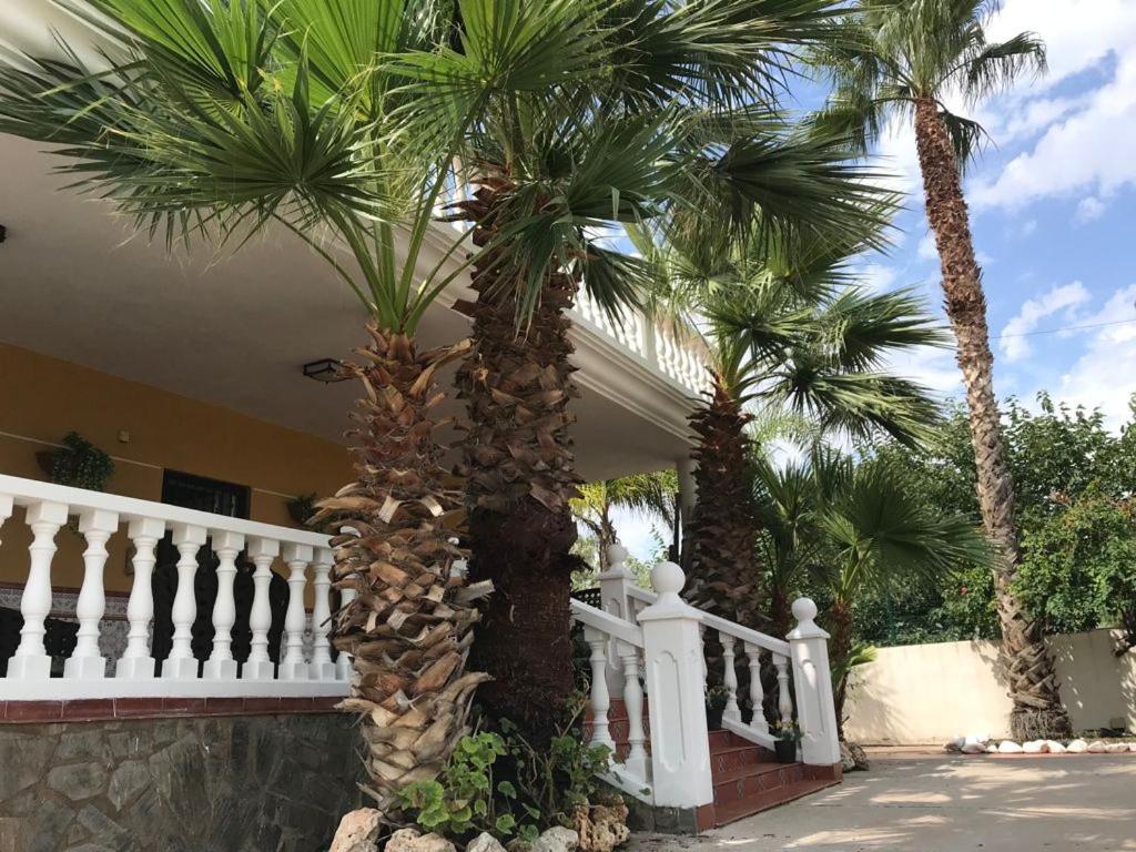 Villa Holiday Castellón de la Plana