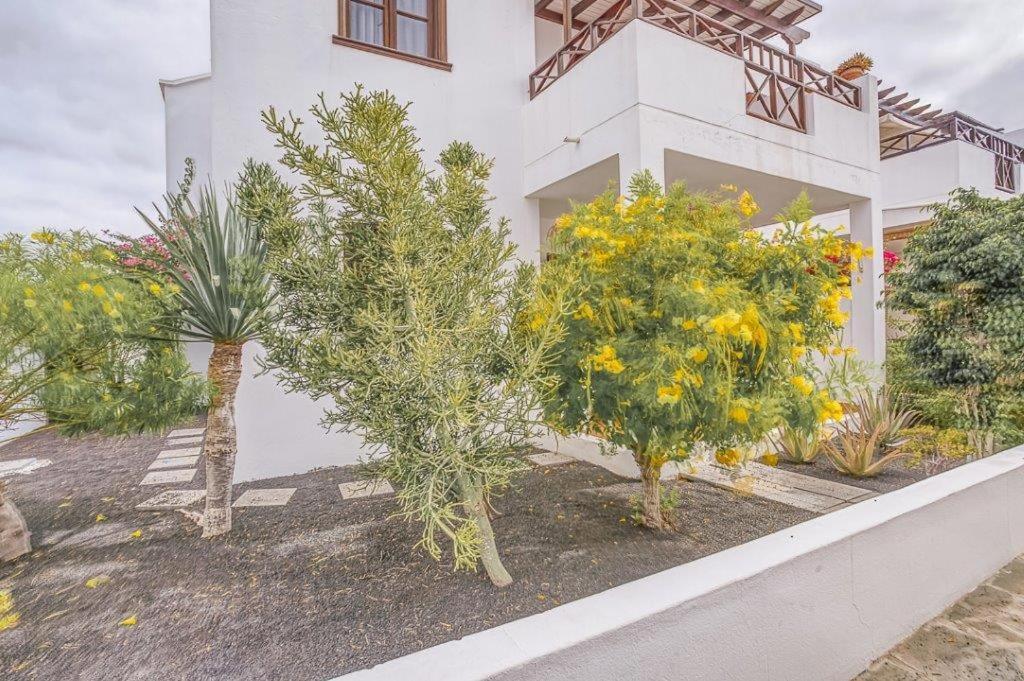 Hogar Palmera With Pool & Apartment