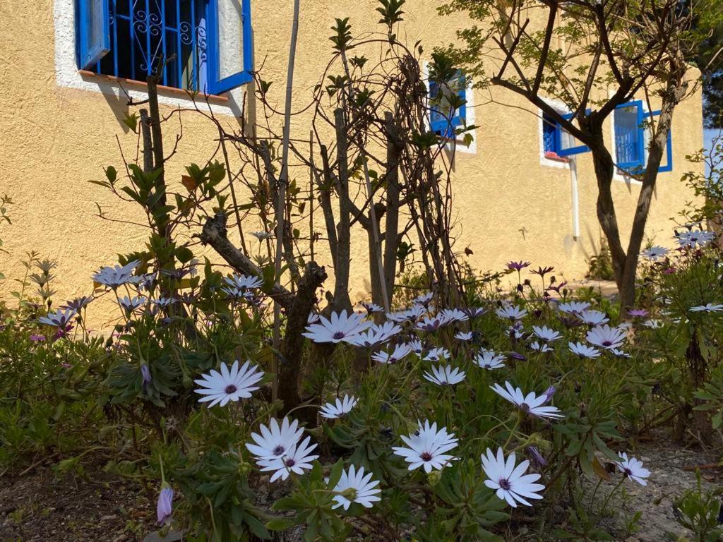 Cortijo Con Encanto