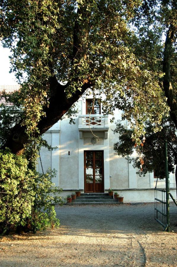 Casa Viña De Alcántara
