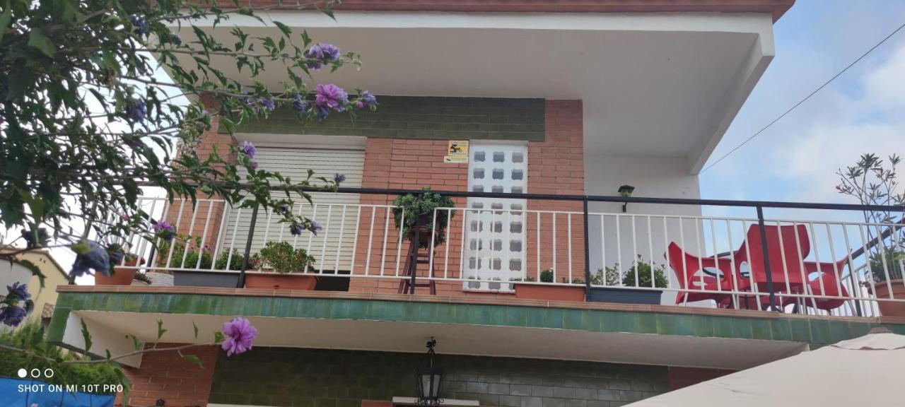 Pineda Homestay *