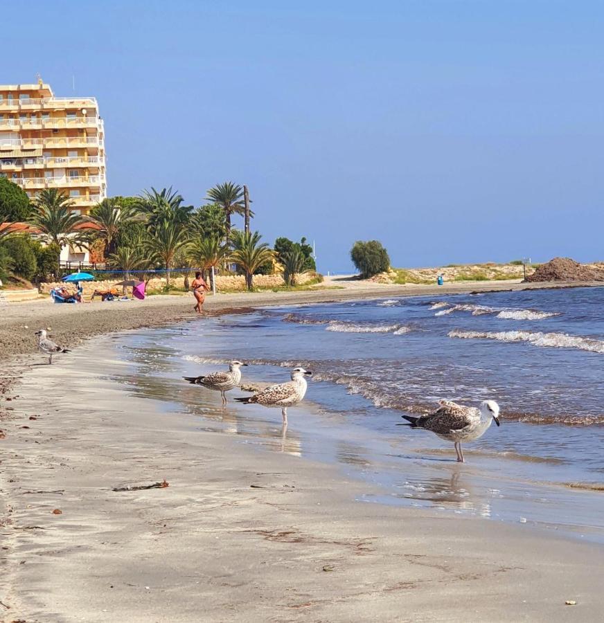 Sea Breeze First Line By The Sea * Santa Pola