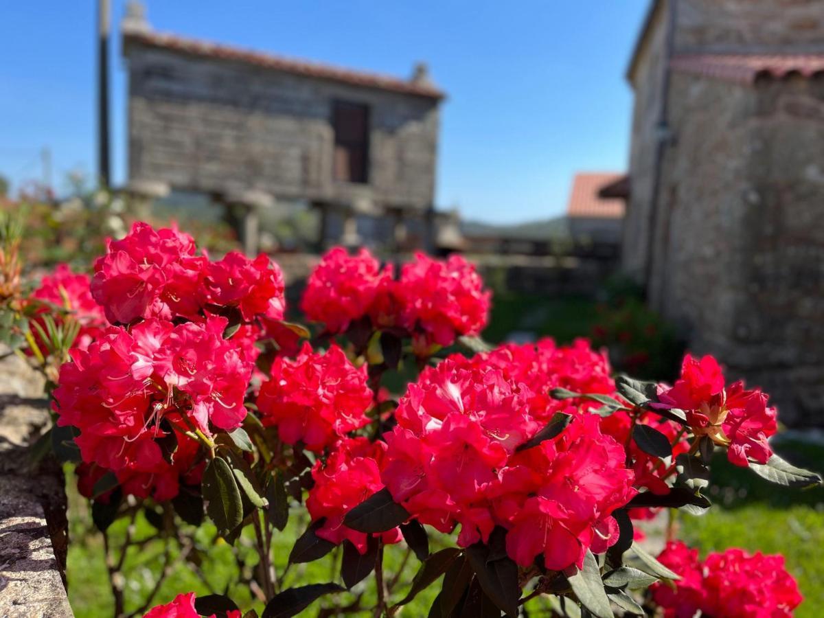 Casa Do Caseiro Сasa de vacaciones