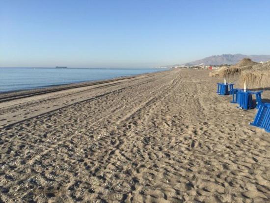 Jardin A 300 Metros De La Playa *