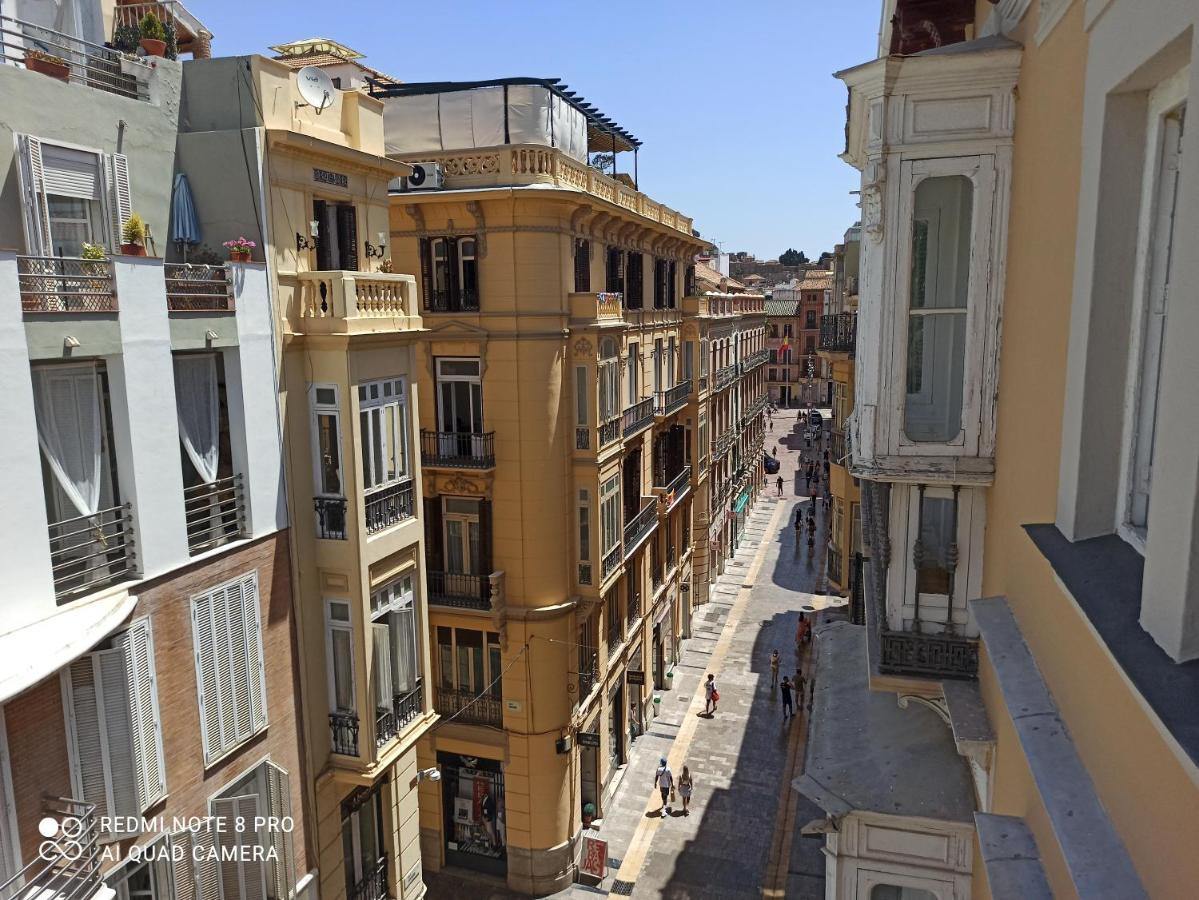 Constitución